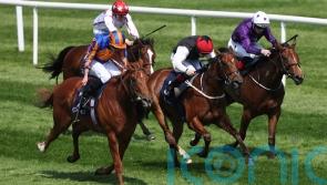 Fairy Godmother swoops late for Sprint success