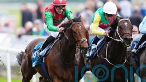 Diligent Harry firmly on target for Ascot after York near-miss