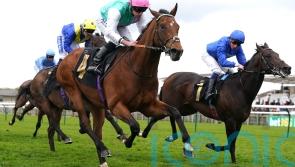 Kikkuli out to master Heron rivals in fascinating Sandown contest