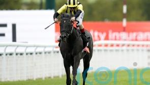 Vandeek the star attraction in Sandy Lane comeback test