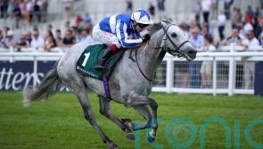 Art Power primed for Greenlands defence