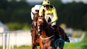 Ground will be a factor in plans for Royal Rhyme, says Burke