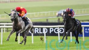 White Birch floors Auguste Rodin for Tattersalls gold at the Curragh