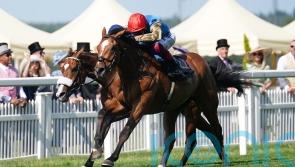 Courage Mon Ami ruled out of Gold Cup defence