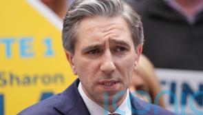 Harris&rsquo;s call for review of bulk-purchase of homes criticised as &lsquo;spoof&rsquo;