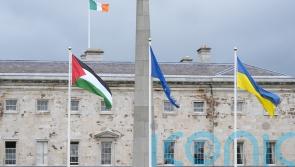 Ireland&rsquo;s recognition of Palestine could be &lsquo;catalyst&rsquo; for other EU countries