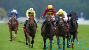 Sunway set to move up in distance after Chantilly effort