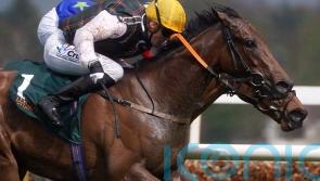 Twomey will now keep A Lilac Rolla and Purple Lily apart