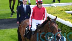 George Scott harbouring Hardwicke hopes for Isle Of Jura