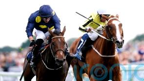 Sea Theme bidding for Haggas hat-trick in race named after Lester Piggott