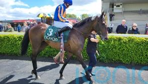 Celtic Chieftain puts his name into the Ascot mix for O&rsquo;Brien