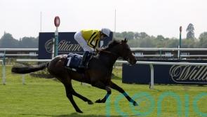 Ambiente Friendly camp opt for Irish Derby bid