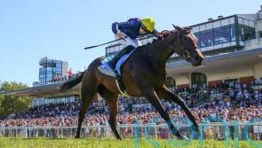 Fabre plotting repeat route with Mqse De Sevigne