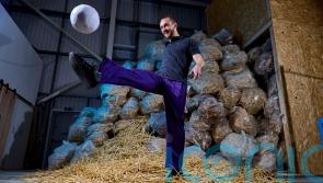 Tom Davies: Picking up new chopsticks recycling business helped my mental health