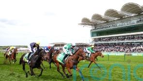 Woodhay Wonder bidding to plunder another big prize