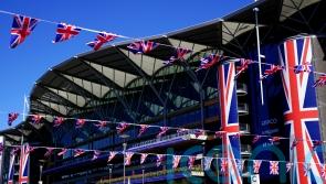 Record-breaker Hot Darling all ready for Albany challenge