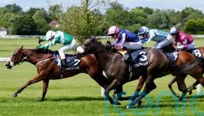 Adaay in the sun well deserved for teak-tough Millman filly