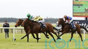 St James&rsquo;s Palace poised to be crowning glory for clash of the Classic winners