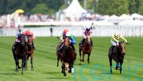 Rashabar hangs for victory in thrilling Coventry Stakes