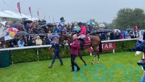 Goodwood return on the cards for Facteur Cheval