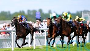 York trip could be on the Horizon for Dore