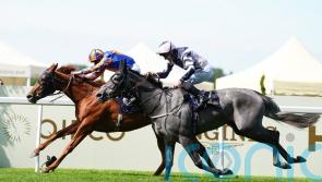 Lava Stream team mapping out ambitious schedule