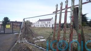 &lsquo;Milestone&rsquo; mother and baby homes inquiry announcement welcomed