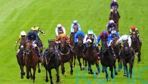 Ambiente Friendly supplemented for Irish Derby