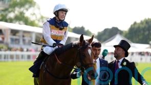 York beckons for Docklands before Aussie adventure