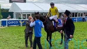 Havlin ready to seize Irish Derby chance with Ambiente Friendly