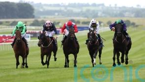 My Mate Alfie proves fastest in Curragh Dash