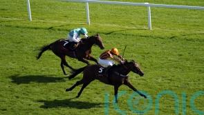 Teal believes that Shoe fits for Dancing Gemini ride