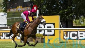 Remaat connections keen to kick on from Newmarket romp