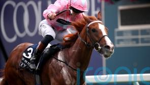 West hoping for Dream outcome to set up Nunthorpe defence