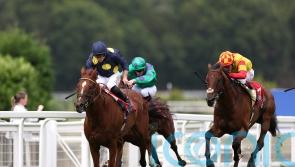 Late rain helps Al Mubhir to put win drought behind him