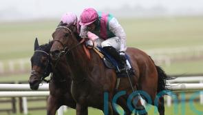 Blossoming Bluestocking has big targets at Goodwood and York