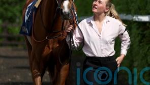 Vetiver bounces back in Chelsmford feature