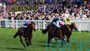 Kikkuli backed to strike after Deauville outing