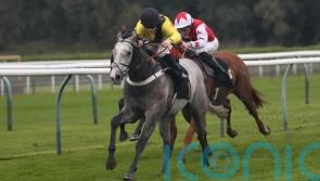 Channon sure Desperate Hero can make impact in major sprints