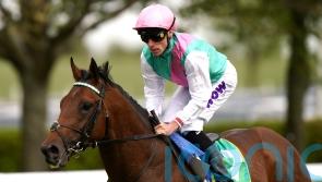 Lead Artist aiming to take starring role at Newmarket