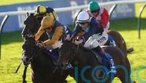 Fair Angellica has Goodwood&rsquo;s Oak Tree Stakes on her agenda