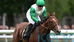 Al Musmak rediscovers top form to strike at Newmarket