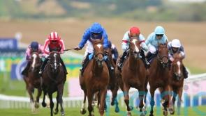 Desert Flower blooms with impressive Newmarket debut