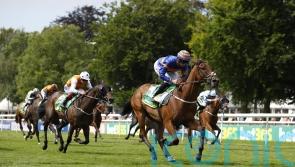 Aalto blitzes Bunbury Cup foes for emphatic victory