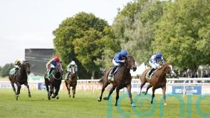 Seagulls could swoop on Solario prize