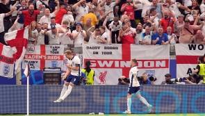 Euro 2024 adverts trigger surge in interest for Chinese electric cars