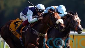 Bethell harbouring Hackwood hopes for Regional