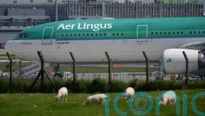 Aer Lingus returns to full service as pilots suspend work-to-rule