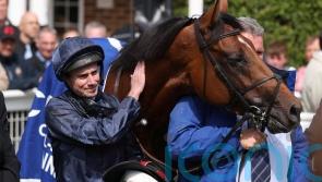 York thrilled at prospect of City Of Troy clash with Japanese ace