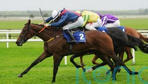 Meade looking for Classic glory with Caught U Looking